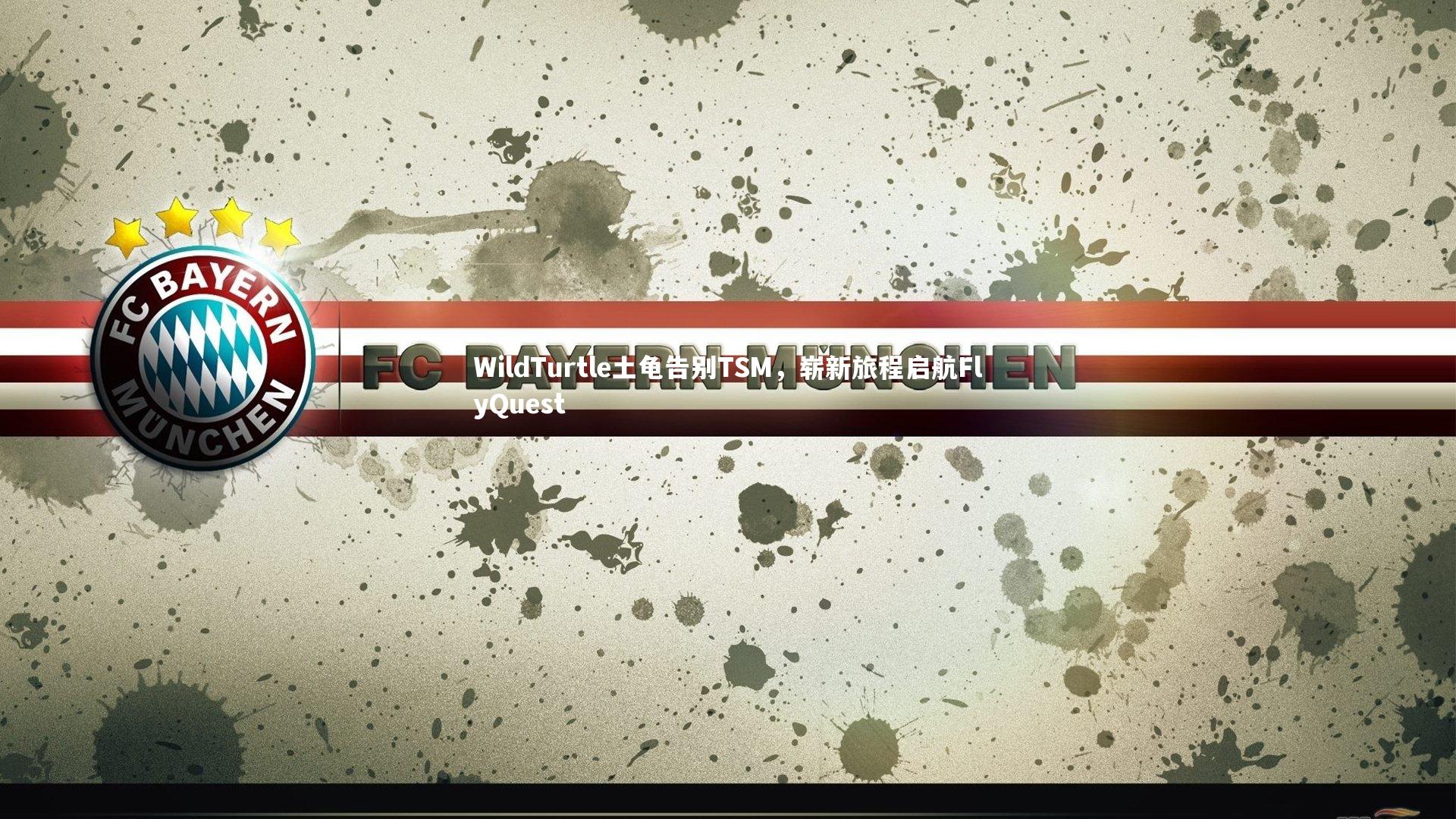 WildTurtle土龟告别TSM，崭新旅程启航FlyQuest